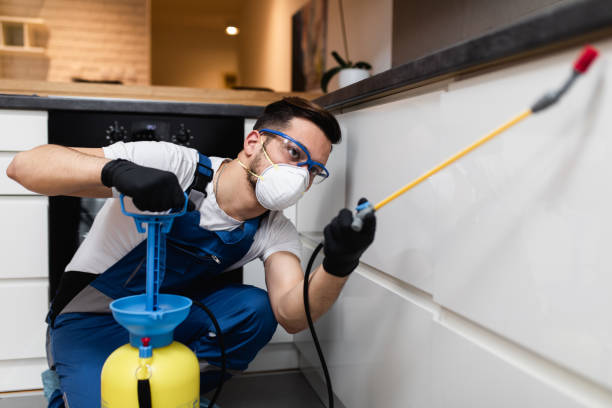 Best Flea Control Services  in Bremen, OH