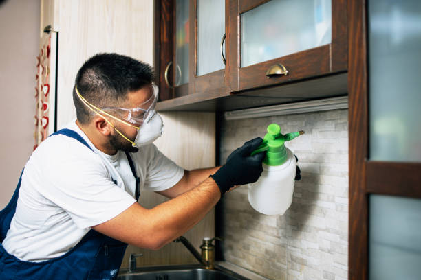 Reliable Bremen, OH Pest Control Solutions