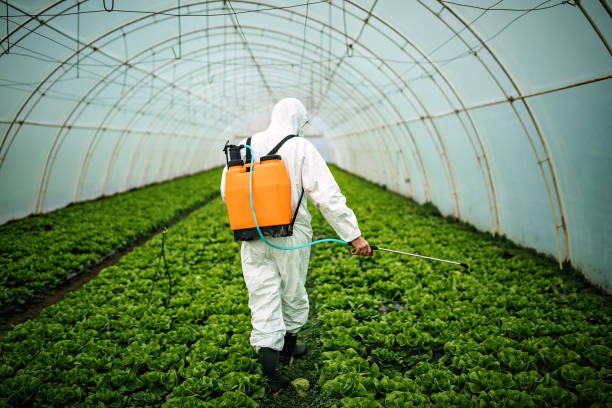 Pest Control for Restaurants in Bremen, OH
