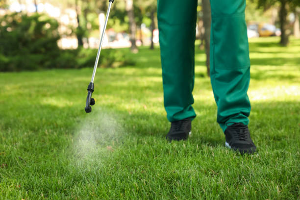 Best Bed Bug Extermination  in Bremen, OH