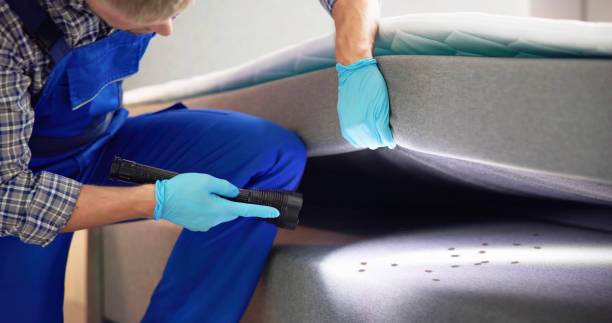 Best Pest Prevention Services  in Bremen, OH