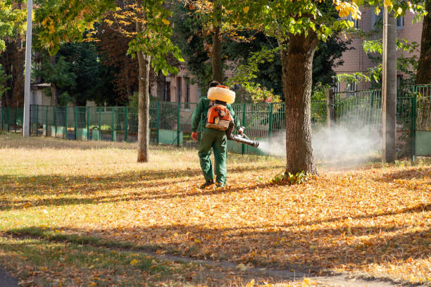 Best Emergency Pest Control  in Bremen, OH