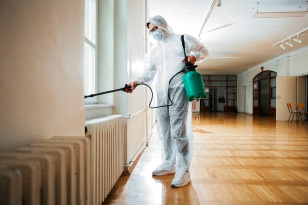 Best Termite Control Services  in Bremen, OH
